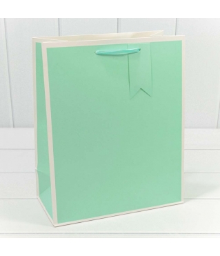 Пакет подарочный Однотонный в рамке (микс) 26*32*13 210г 1/20 1/240