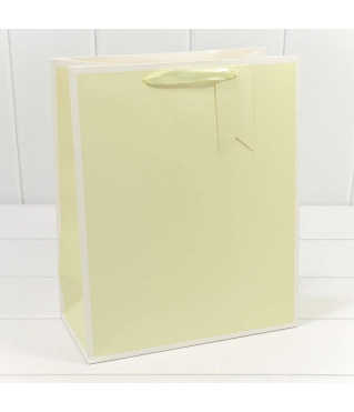 Пакет подарочный Однотонный в рамке (микс) 26*32*13 210г 1/20 1/240