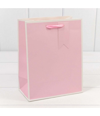 Пакет подарочный Однотонный в рамке (микс) 18*23*10 210г 1/20 1/480