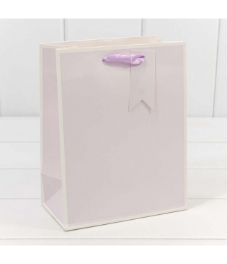 Пакет подарочный Однотонный в рамке (микс) 18*23*10 210г 1/20 1/480