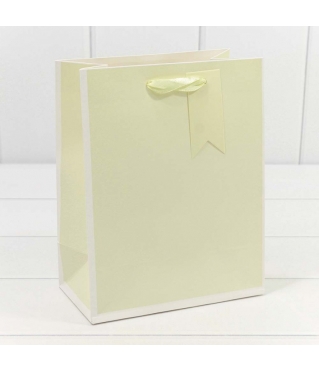 Пакет подарочный Однотонный в рамке (микс) 18*23*10 210г 1/20 1/480