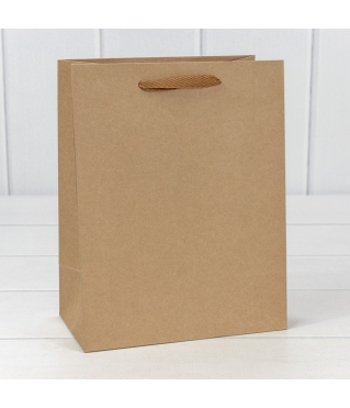 Пакет подарочный Крафт "Люкс" 18*23*10 210г 1/20 1/360