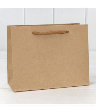 Пакет подарочный Крафт "Люкс" 23*18*10 210г 1/20 1/360