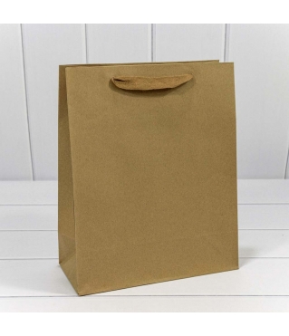 Пакет подарочный Крафт 26*32*12 170г 1/20 1/240