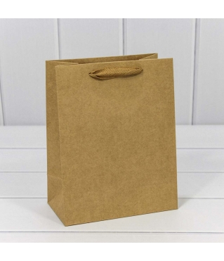 Пакет подарочный Крафт 18*23*10 170г 1/20 1/360