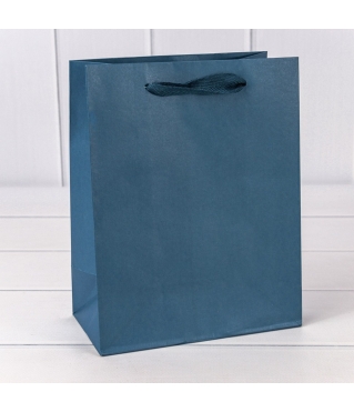 Пакет подарочный Крафт Синий 18*23*10 180г 1/10 1/360