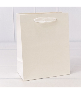 Пакет подарочный Крафт Белый 18*23*10 180г 1/10 1/360