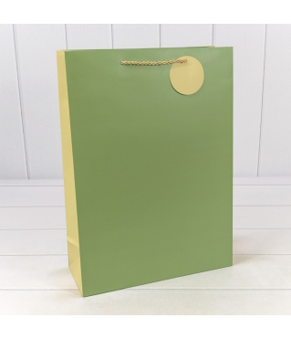 Пакет подарочный матовый Бледно-зелёный 30*41,5*12 210г 1/20 1/80