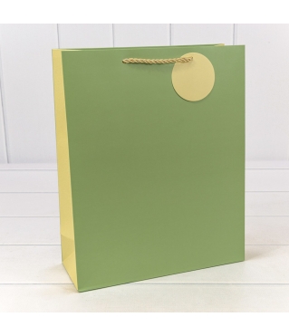 Пакет подарочный матовый Бледно-зелёный 26*32*10 210г 1/20 1/240