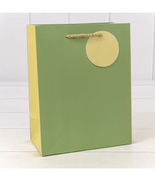 000280E/2	4657832165290	Пакет подарочный матовый Бледно-зелёный 18*23*10 210г 1/20 1/360	80	шт