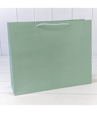 Пакет подарочный "Фактура-890" Бледно-зелёный 39,5*32*12 210г 1/20 1/80