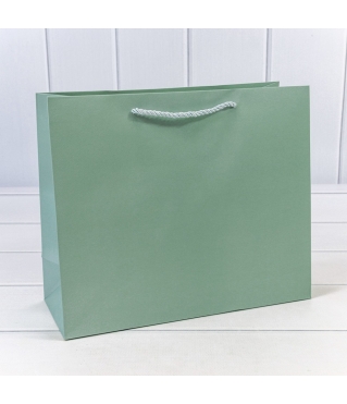 000890CA/5	4657832161995	Пакет подарочный "Фактура-890" Бледно-зелёный 31*26*12 210г 1/20 1/240	60	шт