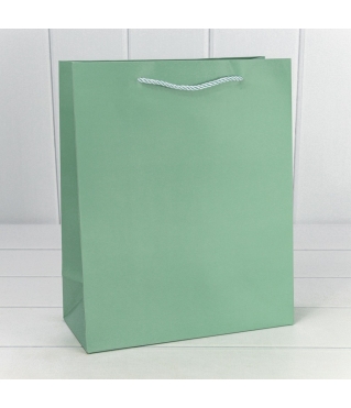 Пакет подарочный "Фактура-890" Бледно-зелёный 26*32*12 210г 1/20 1/240