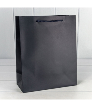 Пакет подарочный "Фактура-890" Синий 26*32*12 210г 1/20 1/240