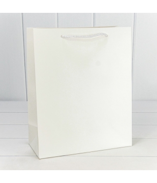 Пакет подарочный "Фактура-890" Белый 18*23*10 210г 1/20 1/160