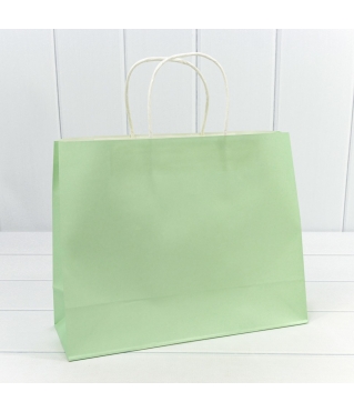 Пакет подарочный Крафт Зелёный 31,5*25*11,5см 120г 1/20 1/240