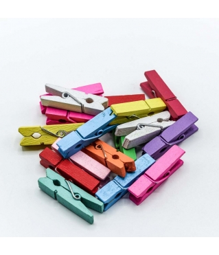 Цветочный аксессуар Прищепки декоративные Цветные (микс) 3,5*0,9*0,7 1/100 1/72