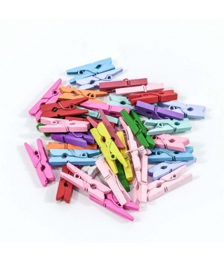 Цветочный аксессуар Прищепки декоративные Цветные (микс) 2,5*0,7*0,3 1/100 1/120