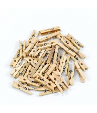 Цветочный аксессуар Прищепки декоративные 2,5*0,7*0,3 1/100 1/120