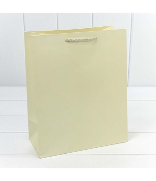 Пакет подарочный "Фактура" Бежевый 26*32*13 210г 1/20 1/240