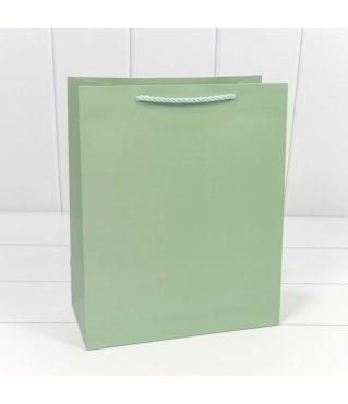 Пакет подарочный "Фактура" Фисташковый 26*32*13 210г 1/20 1/240