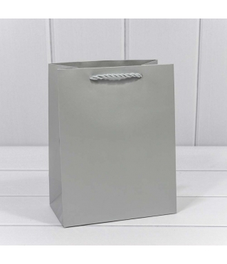 Пакет подарочный "Фактура" Серебряный 18*23*10 210г 1/20 1/360