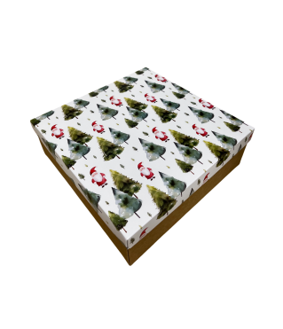 Коробка подарочная 270*180*50 мм, дизайн МО2025-2 с крафт/белым дном