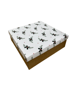 Коробка подарочная 270*180*50 мм, дизайн МО2025-12 с крафт/белым дном