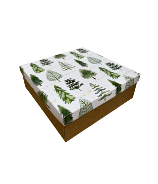 Коробка подарочная 270*180*50 мм, дизайн МО2025-7 с крафт/белым дном