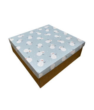 Коробка подарочная 200*200*70 мм, дизайн МО2025-10 с крафт дном