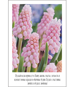 Открытка 9*6 см, дизайн 2