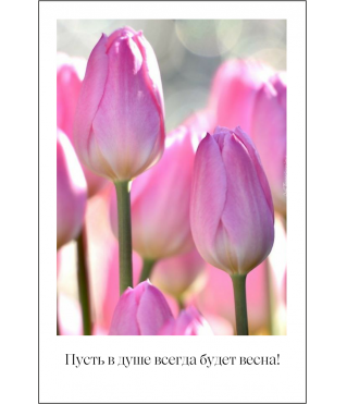 Открытка 9*6 см, дизайн 5