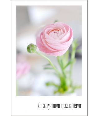 Открытка 9*6 см, дизайн 10