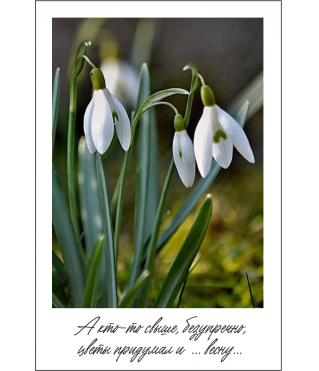 Открытка 9*6 см, дизайн 20