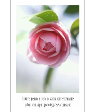 Открытка 9*6 см, дизайн 31