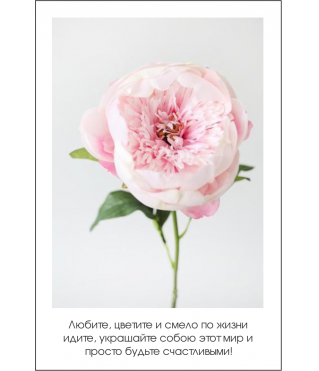 Открытка 9*6 см, дизайн 32