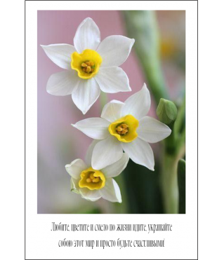 Открытка 9*6 см, дизайн 36