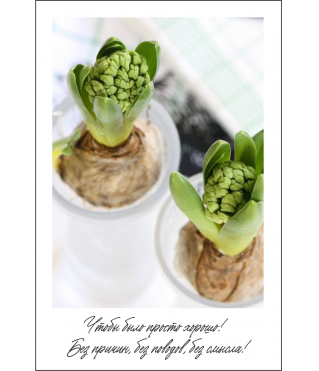 Открытка 9*6 см, дизайн 37