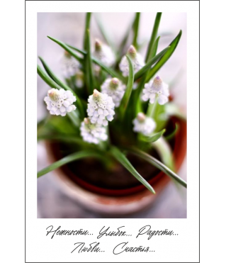 Открытка 9*6 см, дизайн 50