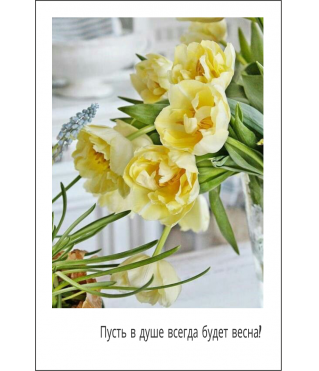 Открытка 9*6 см, дизайн 55