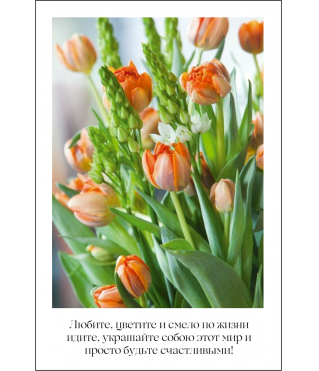 Открытка 9*6 см, дизайн 56