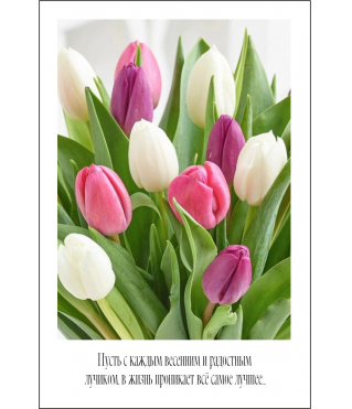 Открытка 9*6 см, дизайн 63