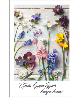 Открытка 9*6 см, дизайн 71