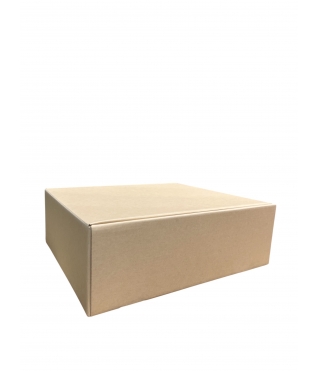 Коробка из МГК 300*250*100 мм, дизайн 45