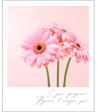 Открытка "Полароид" 11*9 см, дизайн 164