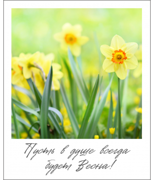 Открытка "Полароид" 11*9 см, дизайн 166