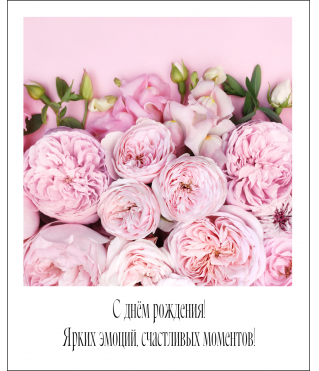 Открытка "Полароид" 11*9 см, дизайн 170