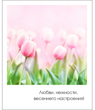 Открытка "Полароид" 11*9 см, дизайн 171