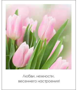 Открытка "Полароид" 11*9 см, дизайн 172