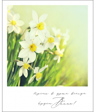 Открытка "Полароид" 11*9 см, дизайн 173